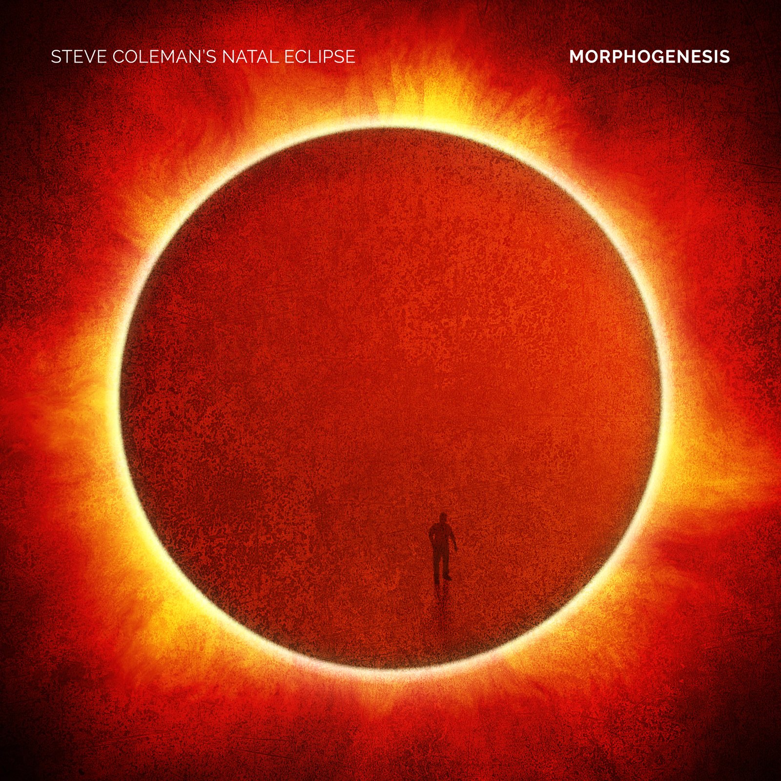 Morphogenesis - Steve Coleman's Natal Eclipse