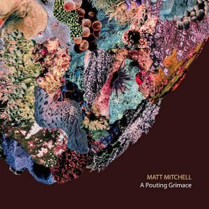 A Pouting Grimace - Matt Mitchell